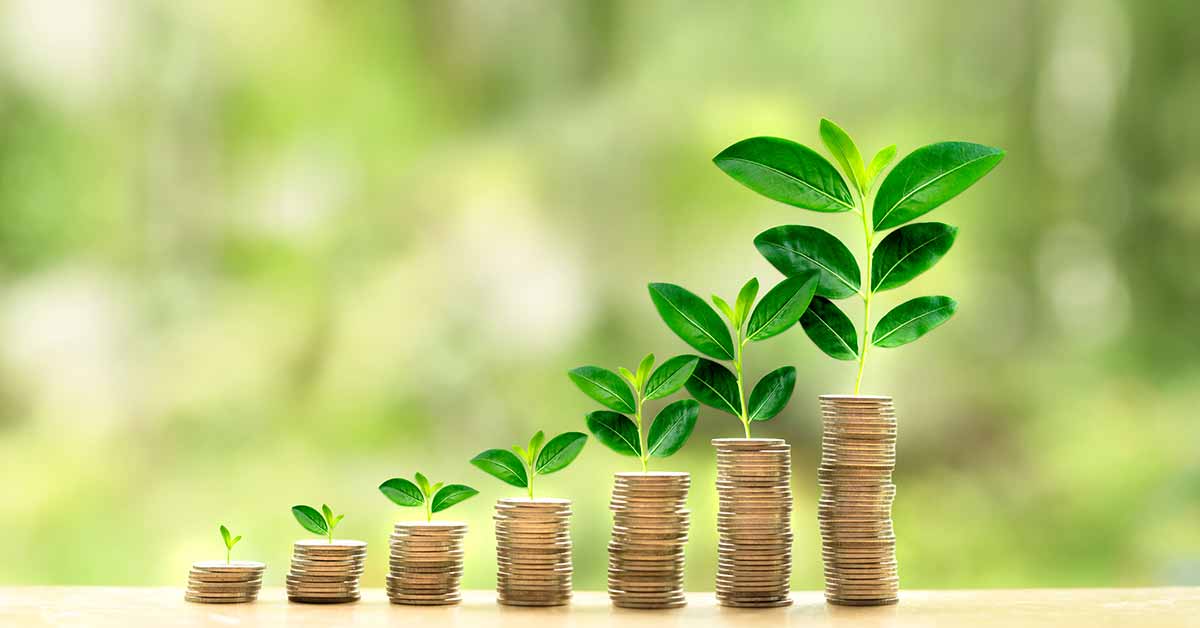 Why you need investment plans