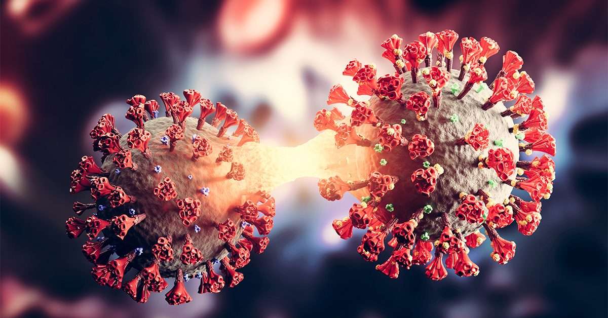 Corona Virus