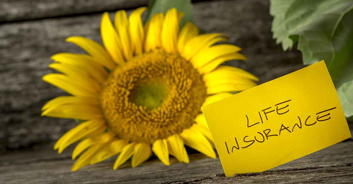How to choose the right life insurance policy