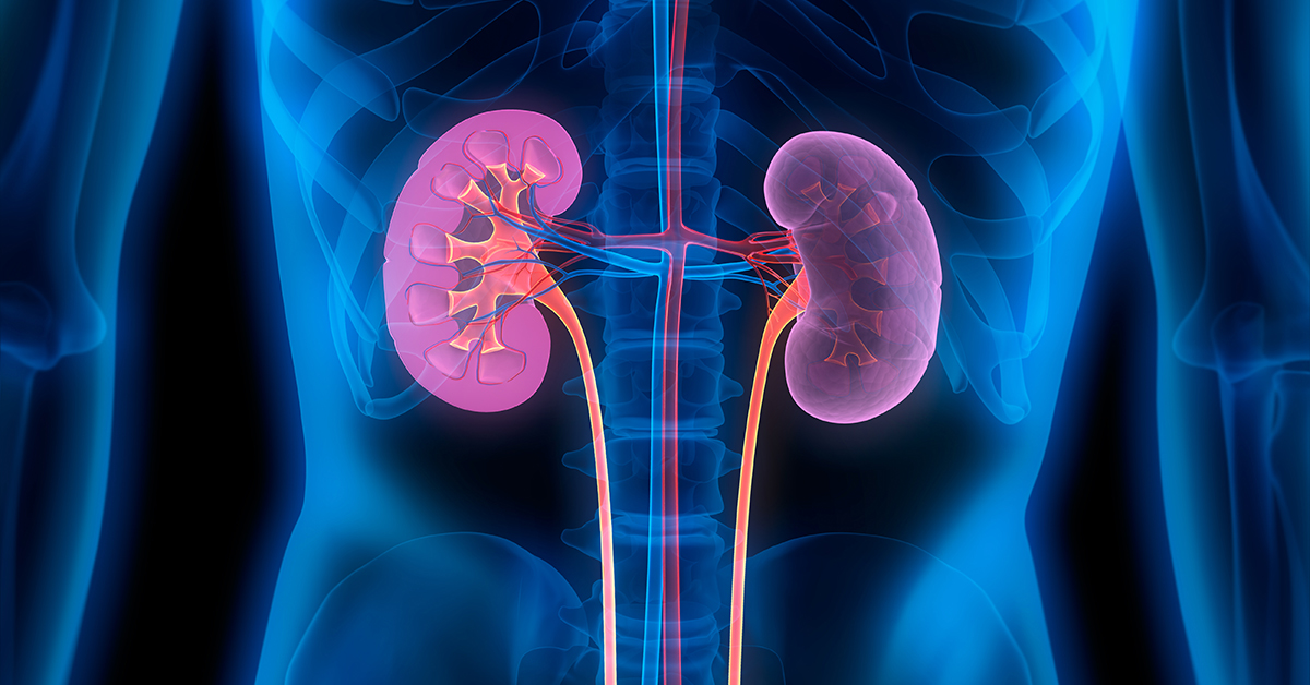 Fatty Liver