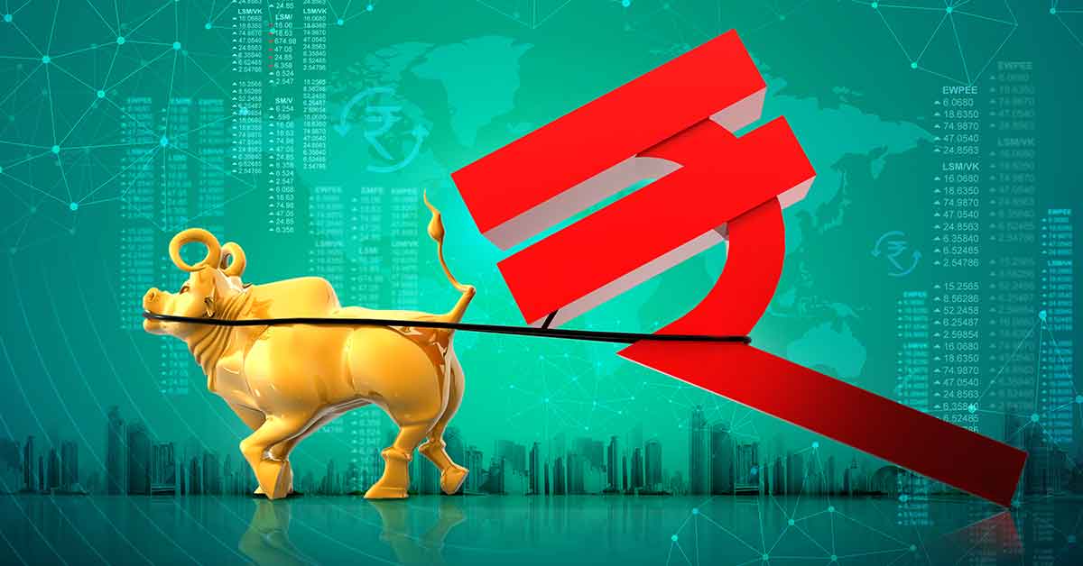 Mutual Fund Investors 